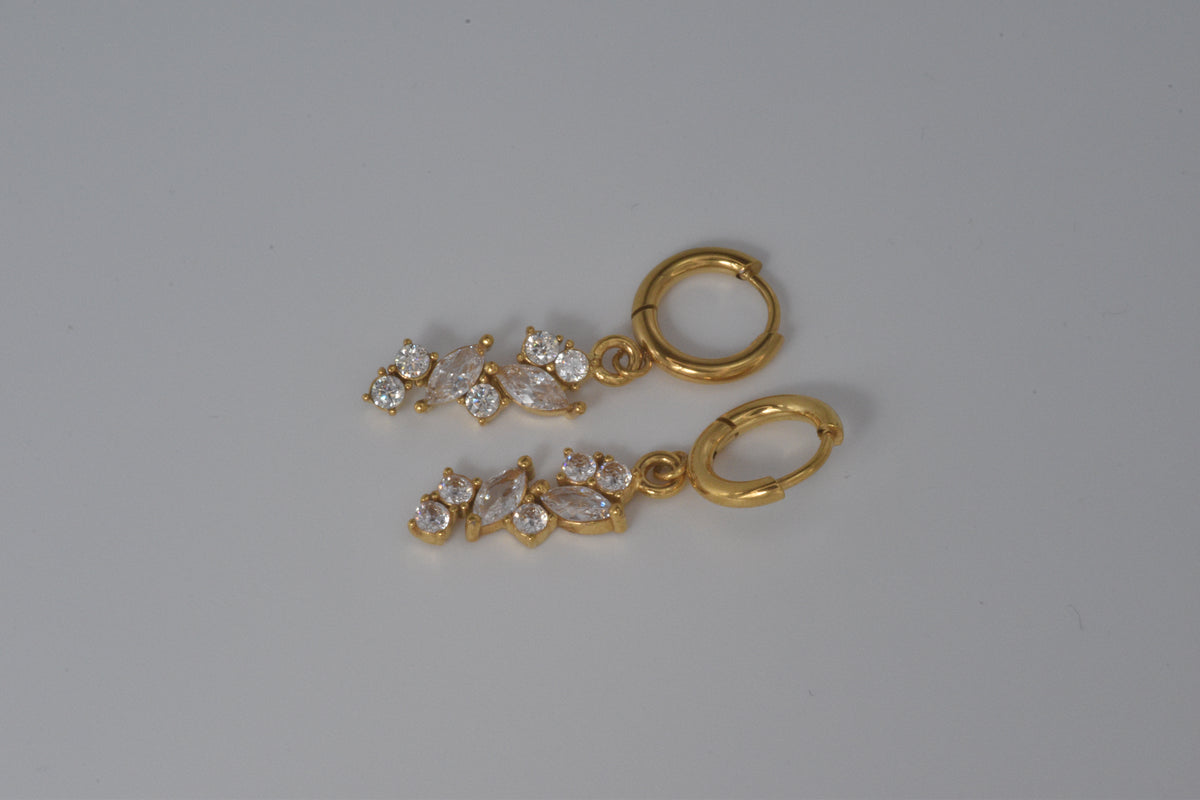 Classy Hoops Earrings