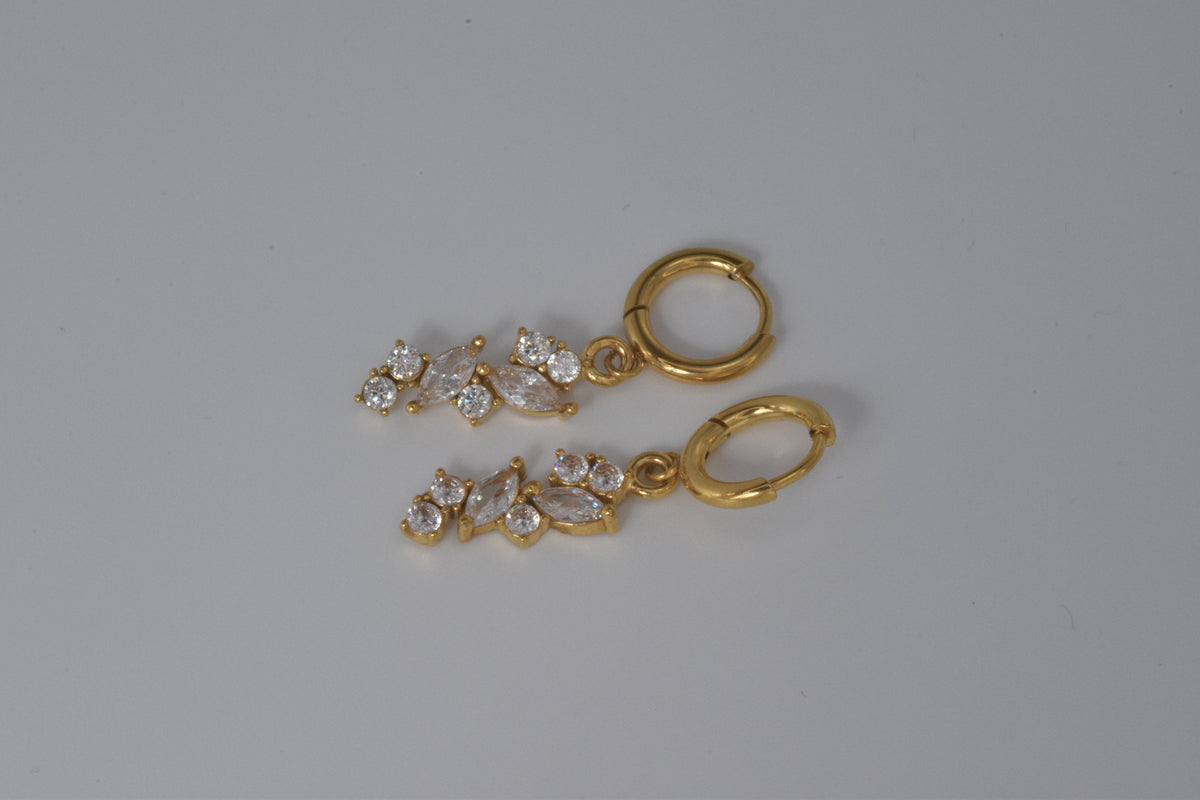Classy Hoops Earrings